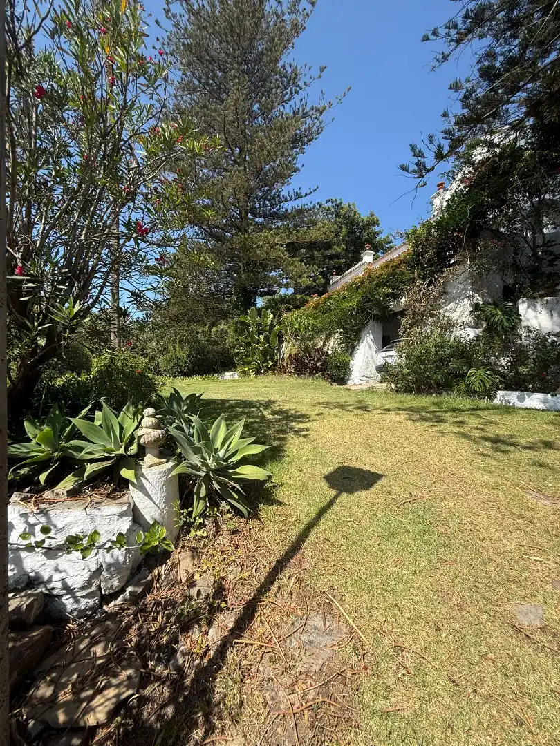 Jardín de Casa o chalet en venta en Algeciras con Jardín privado, Terraza y Piscina