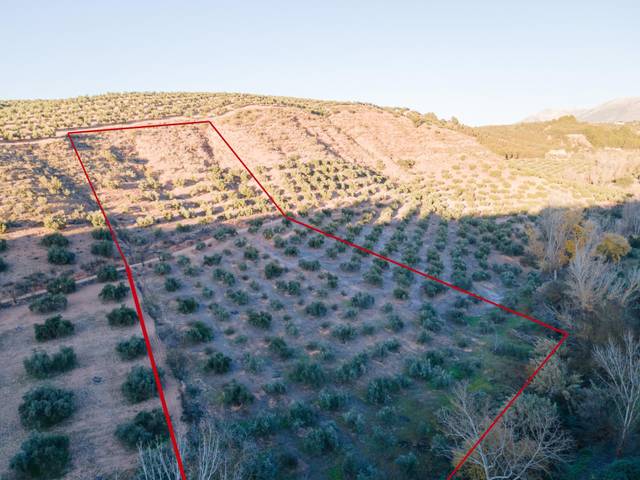 Terreno en Venta en Calicasas