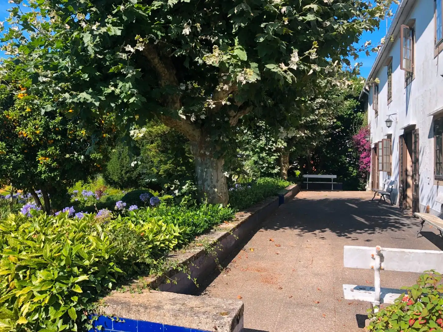 Garten von Haus oder Chalet zum Verkauf in Oleiros mit Privatgarten, Parkett und Terrasse