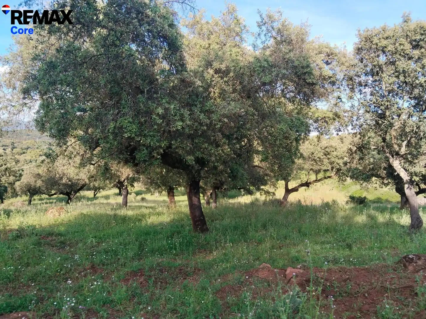 Terreni e lotti in vendita a Jerez de los Caballeros, imagen 8