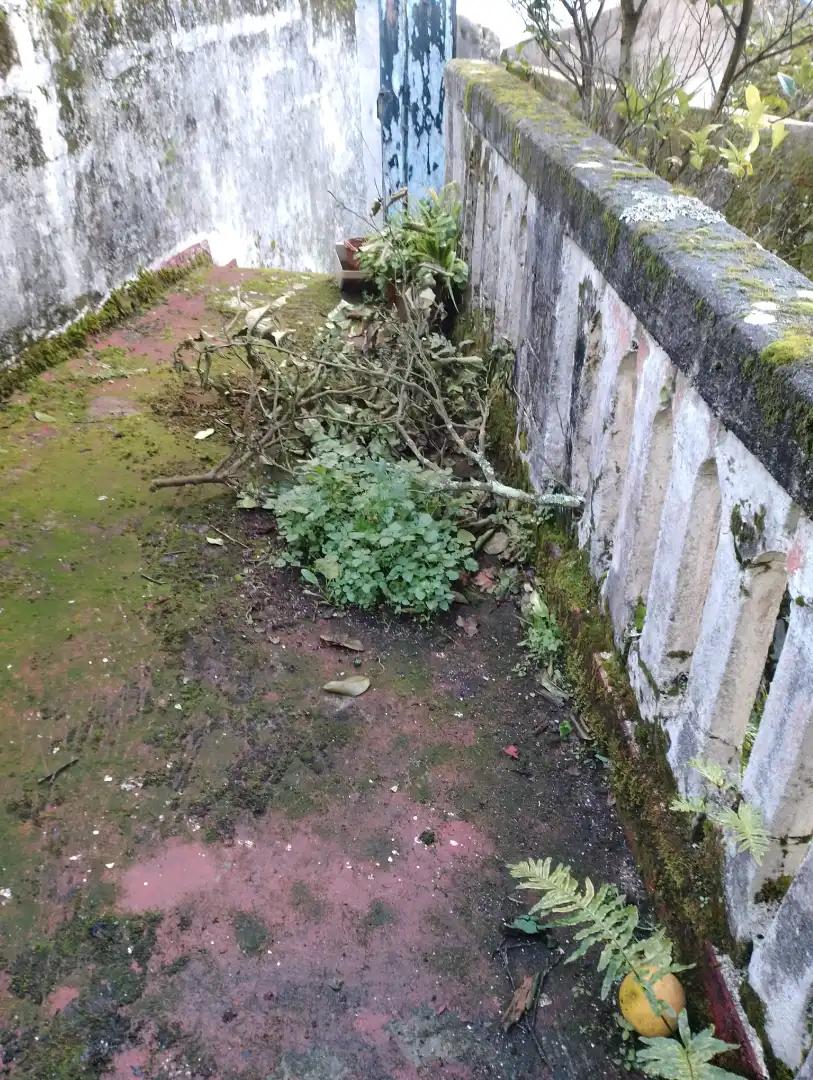 Jardín de Casa adosada en venta en Ribeira con Jardín privado, Terraza y Balcón