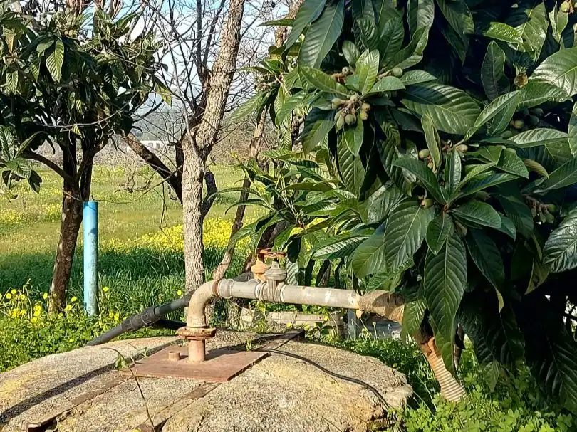 Garden of Land for sale in Sant Antoni de Portmany