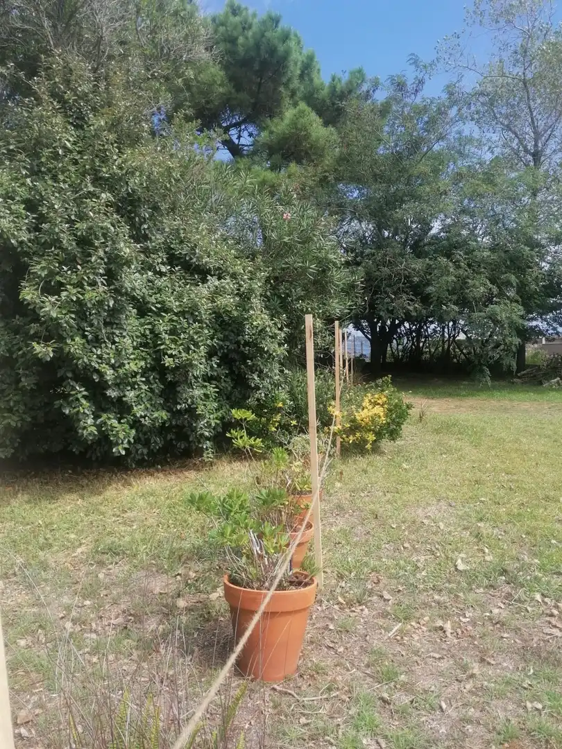 Terreni e lotti in vendita a Palmeira, imagen 6