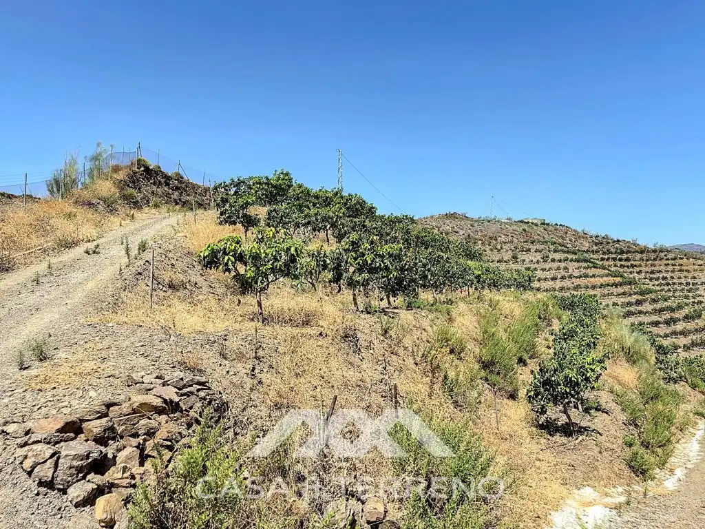 House for sale in Lagar Juan María Rebombeo, Cajiz, imagen 18
