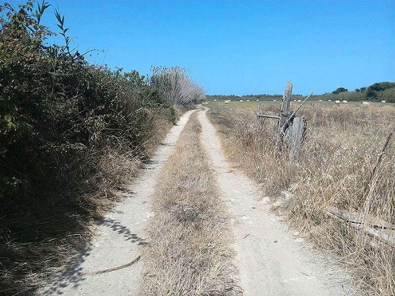 House or chalet for sale in Bacarés - Manresa  - Bonaire