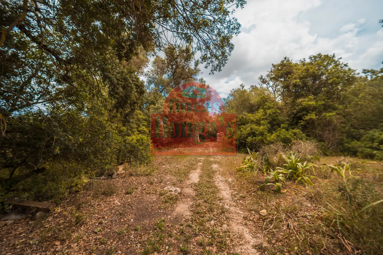 Maison rustique avec jardin à vendre à Algaida, imagen 13