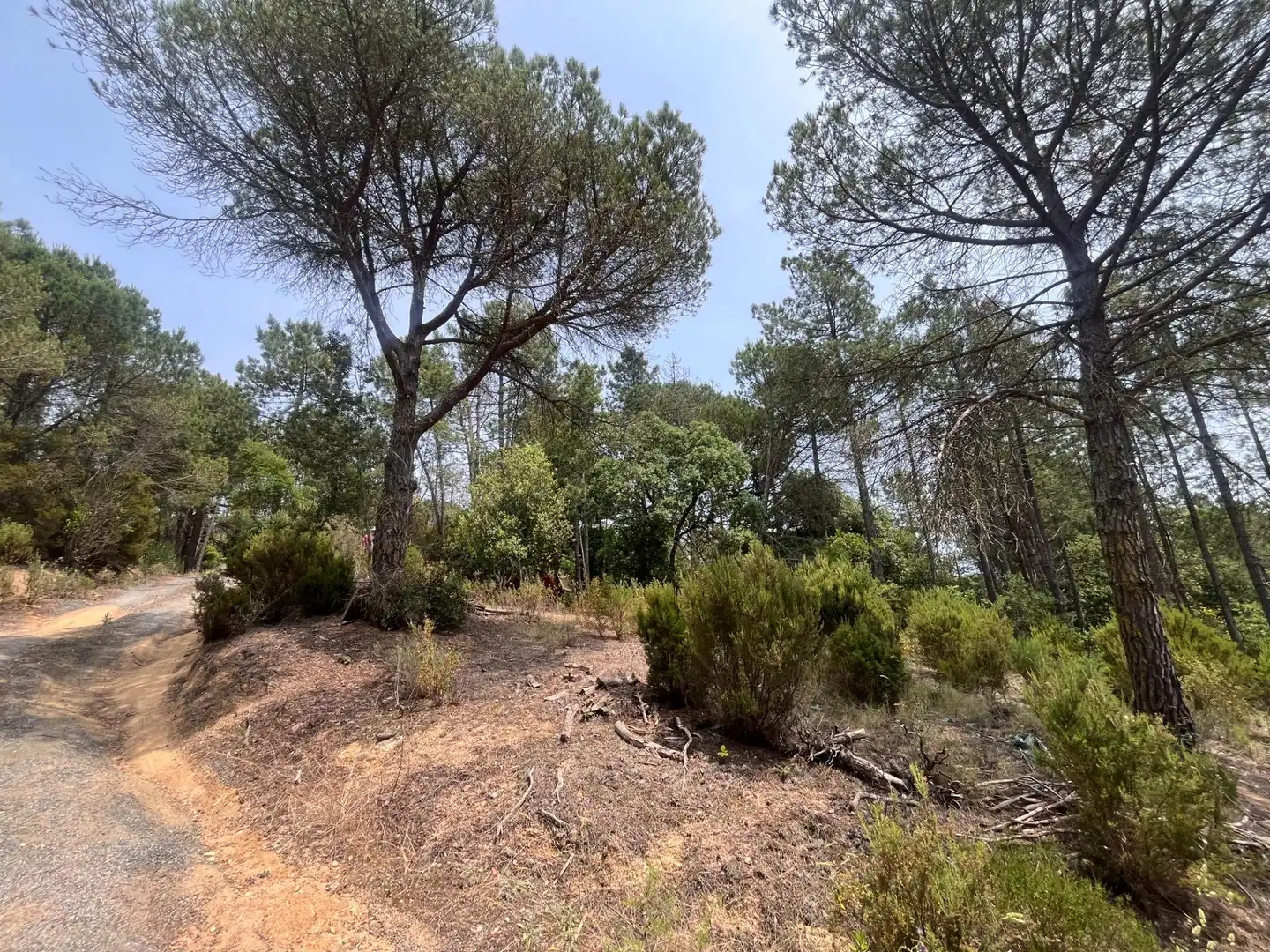 Maison rustique avec jardin à vendre à Niàgara Parc - Àgora Parc, imagen 50