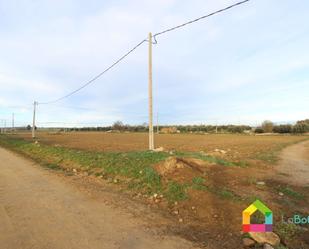 Land for sale in Sonseca