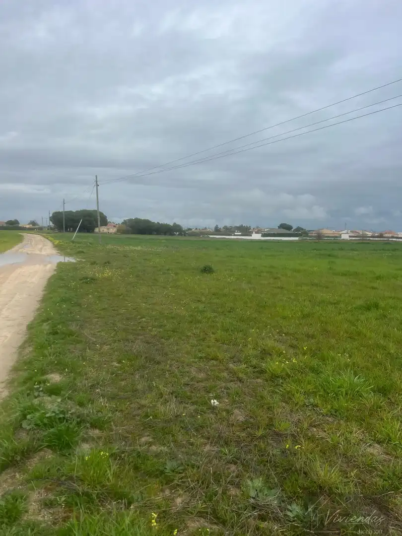 Terreny residencial en venda a El Viso de San Juan, imagen 8