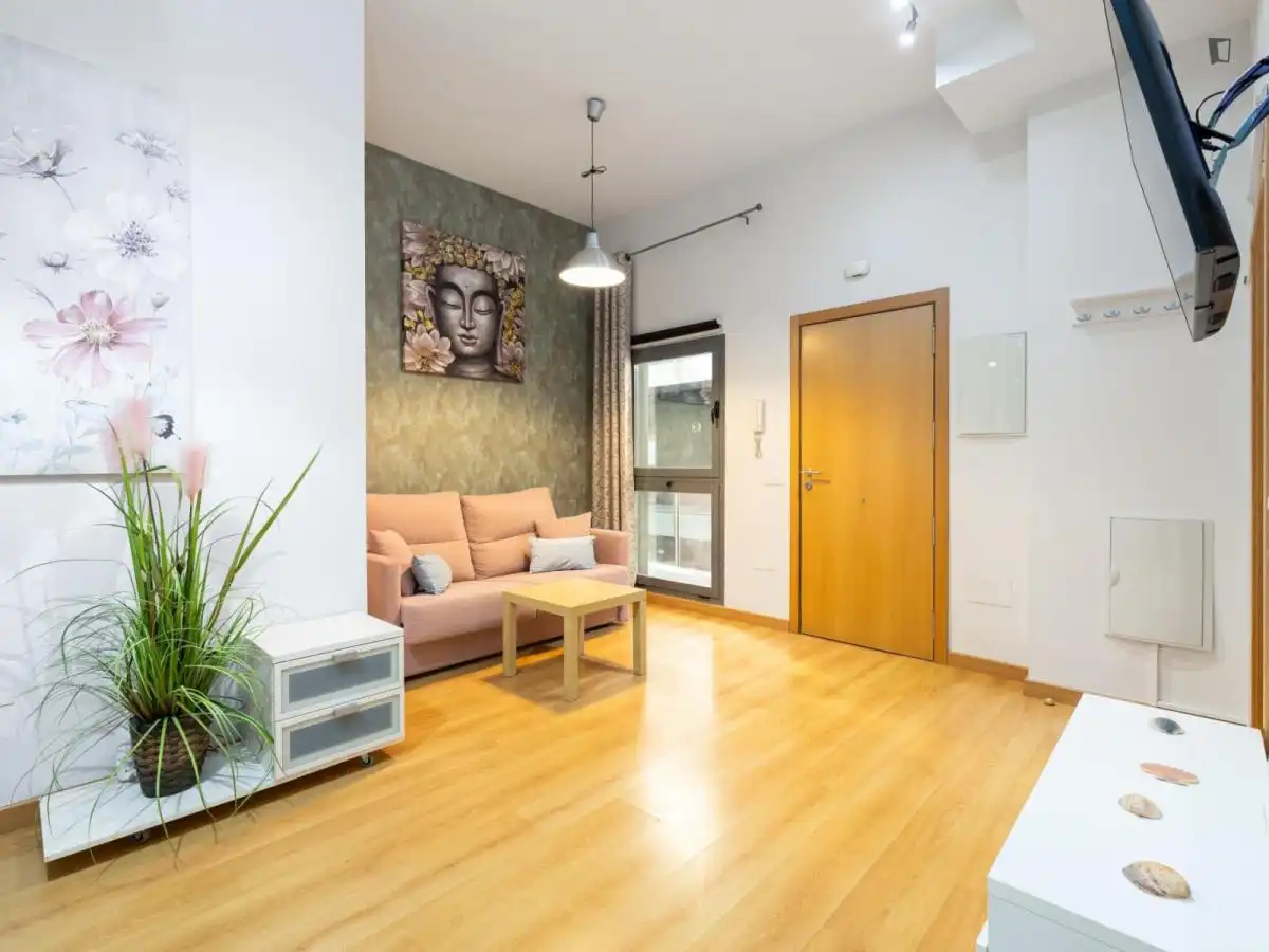 Wohnzimmer von Wohnungen zur Miete in Málaga mit Klimaanlage, Heizung und Möbliert