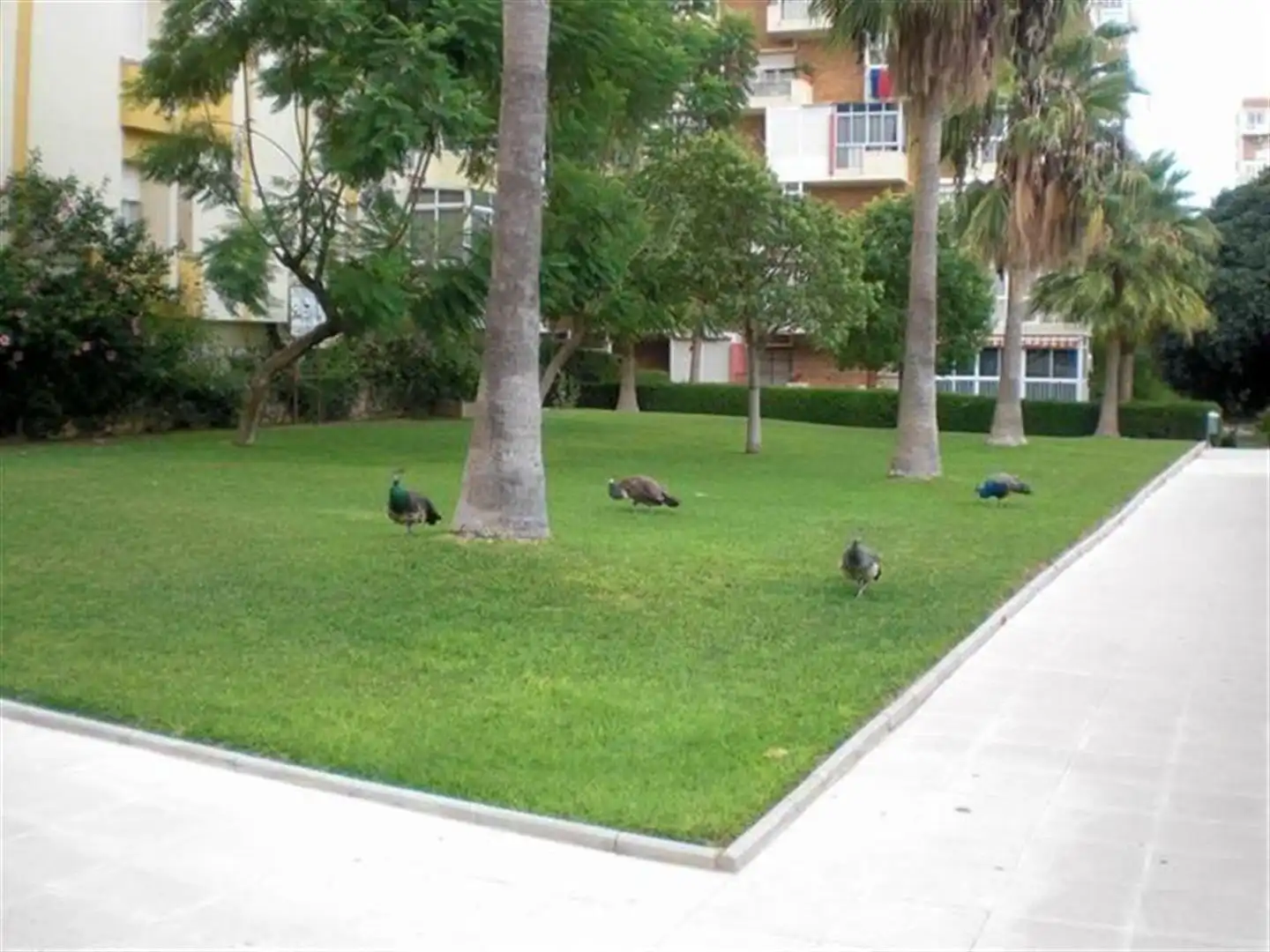 Apartamento con piscina en venta en Avenida GAMONAL, imagen 28