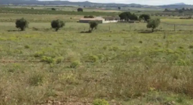 Residential zum Verkauf in Jumilla