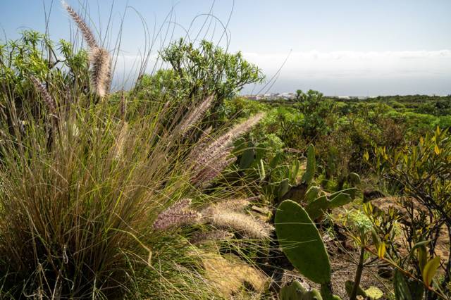 Terreno residencial en Venta en Calle Pasaje Talavera, 31 en Llano del Moro