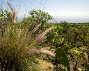 Jardí de Residencial en venda en  Santa Cruz de Tenerife Capital