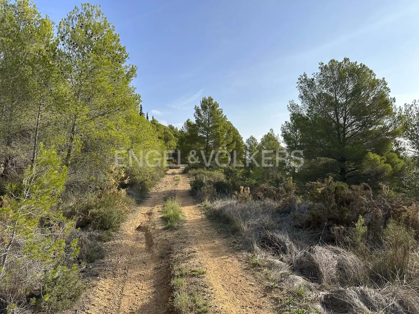Residential land for sale in Torrelles de Foix, imagen 20