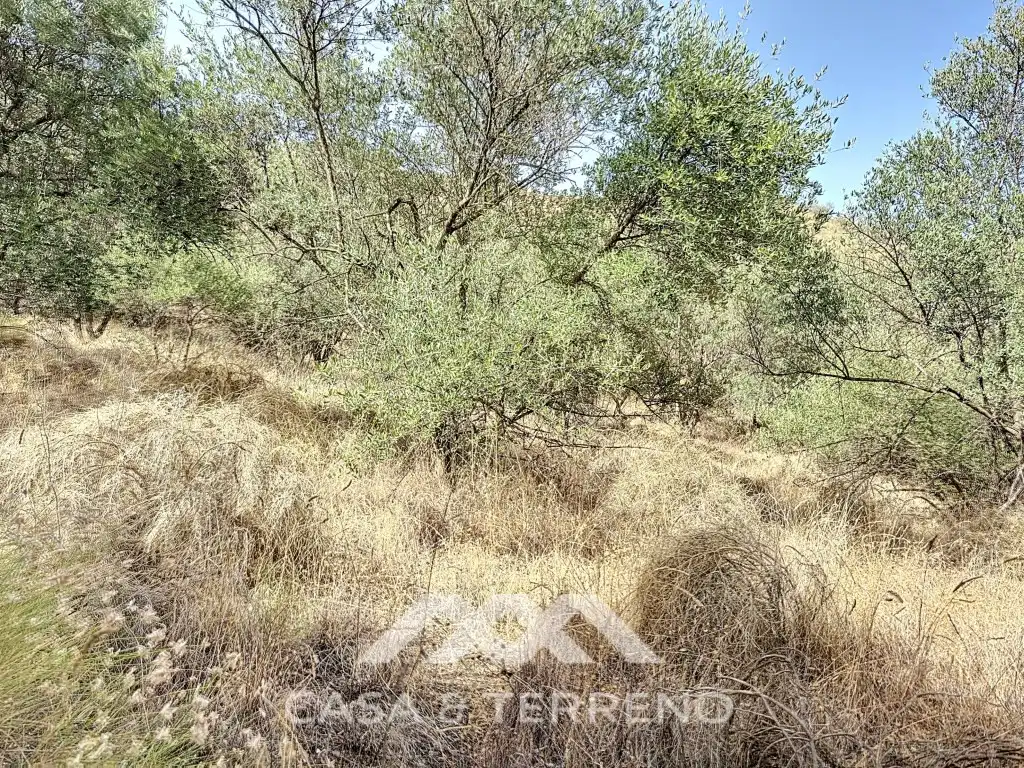 Casa o chalet en venta en Arenas