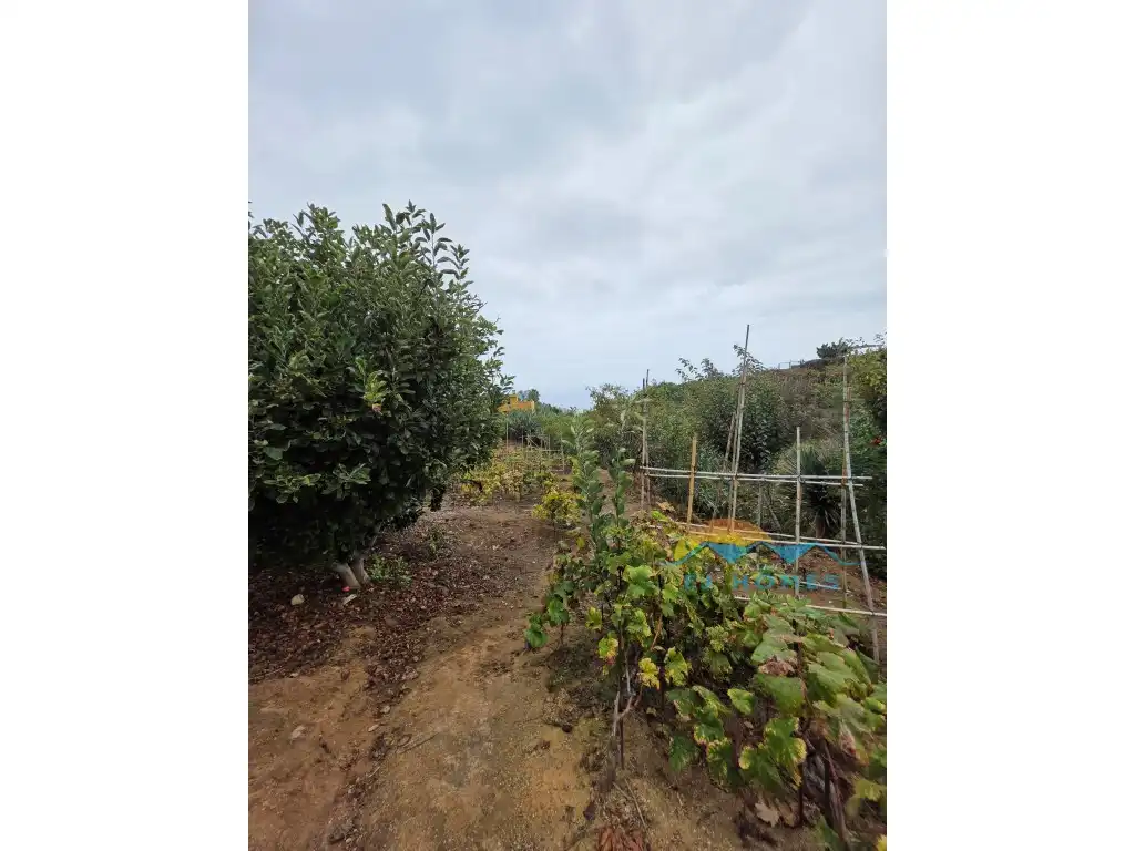 Houses for sale in La Orotava
