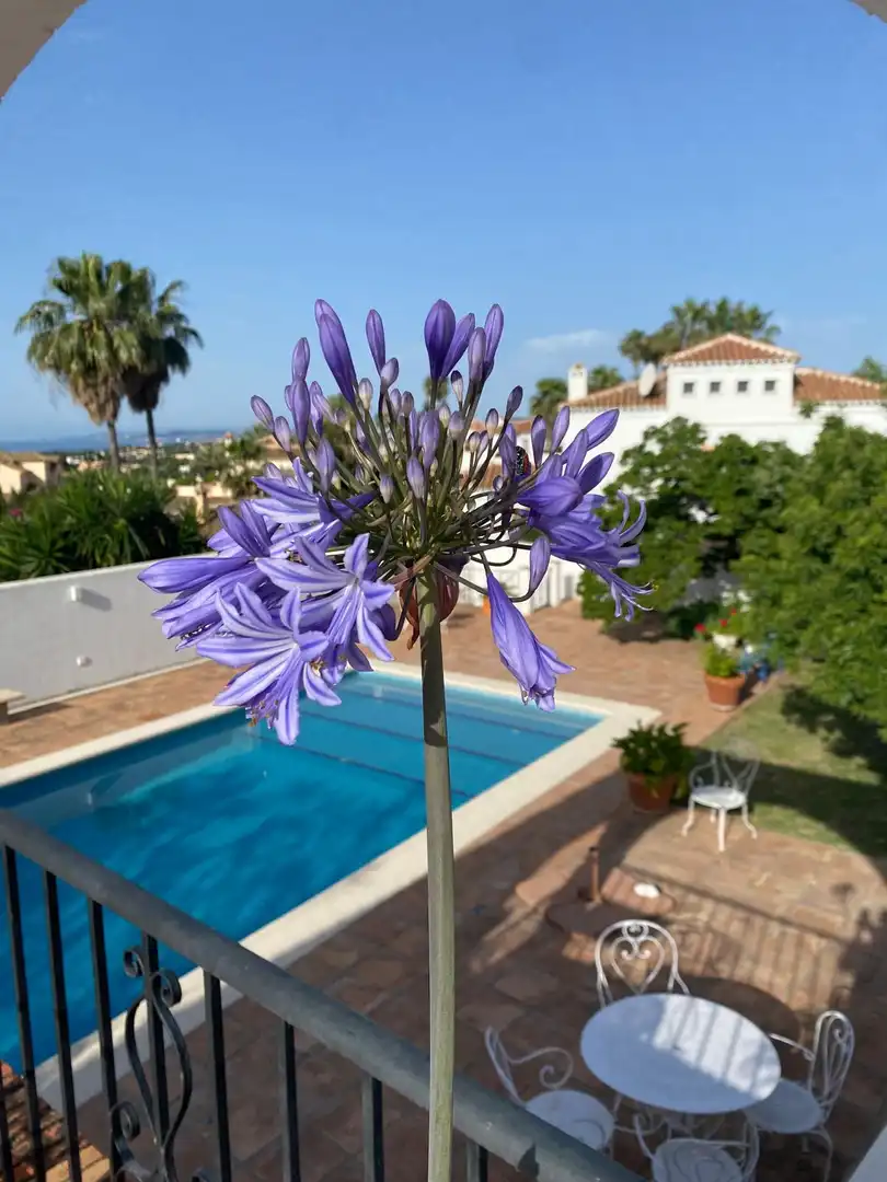Casa amb piscina en venda a Selwo, imagen 26