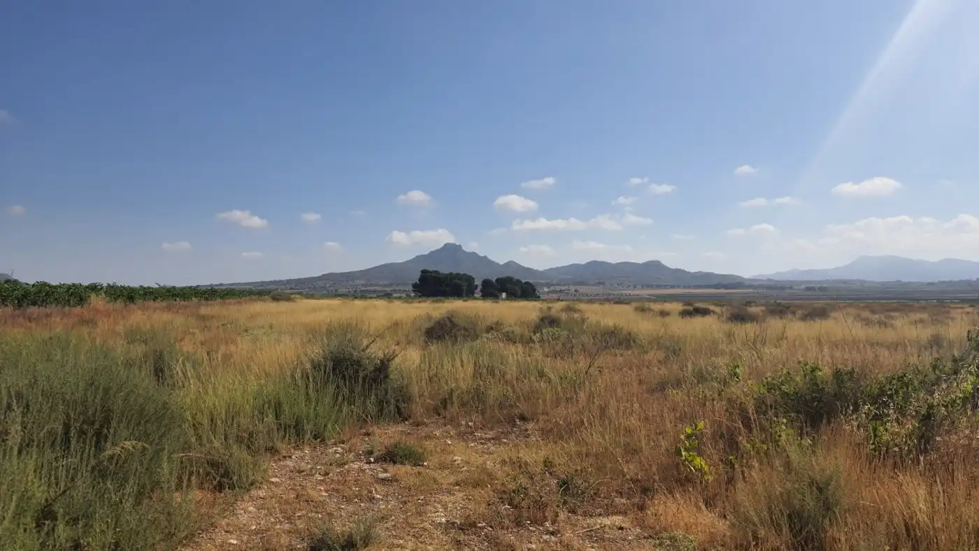 Terreno residenziale in vendita a casa plaza, imagen 12