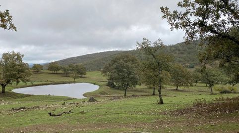 Terreno en venta en Madroñera, immagine 3