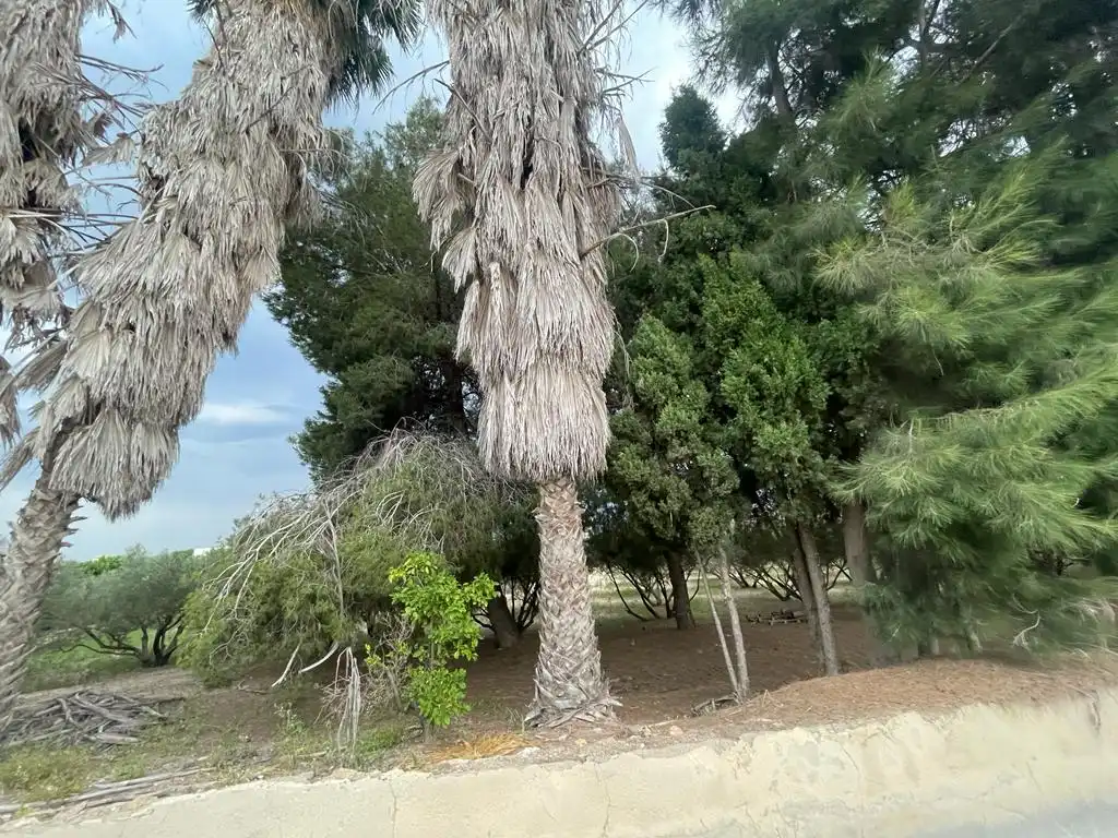 Terreno rustico in vendita a Dolores, imagen 19