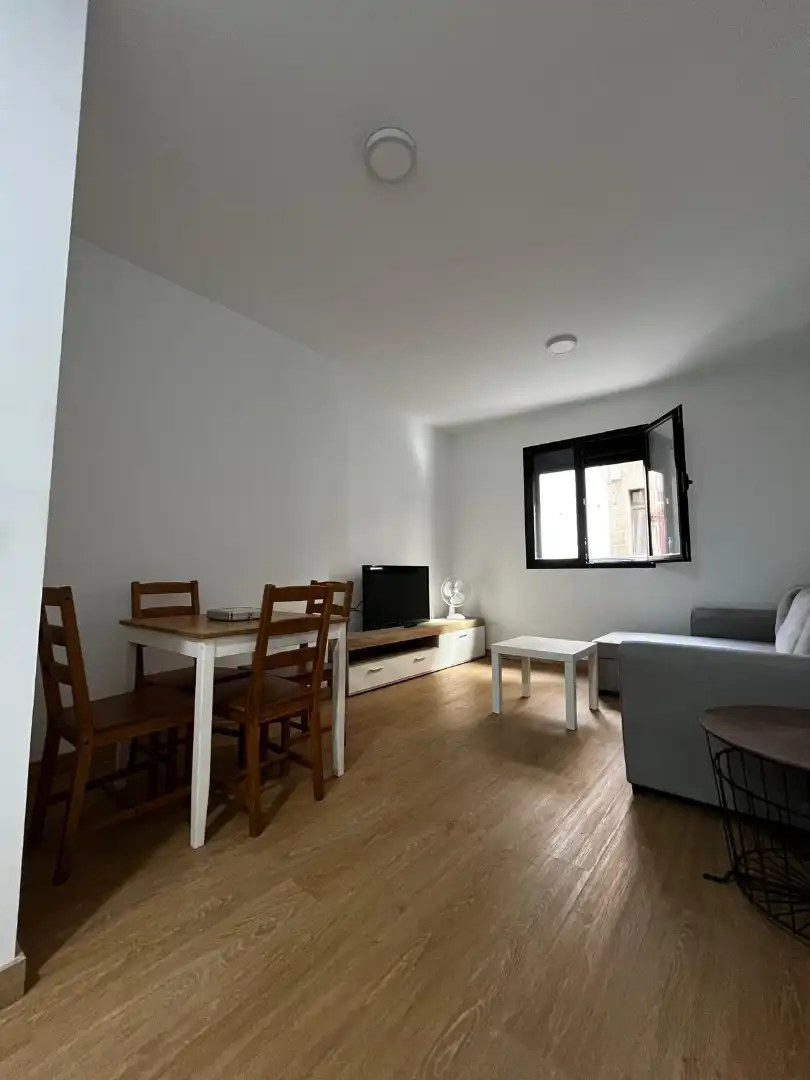 Living room of Flat for rent in Las Palmas de Gran Canaria  with Storage room