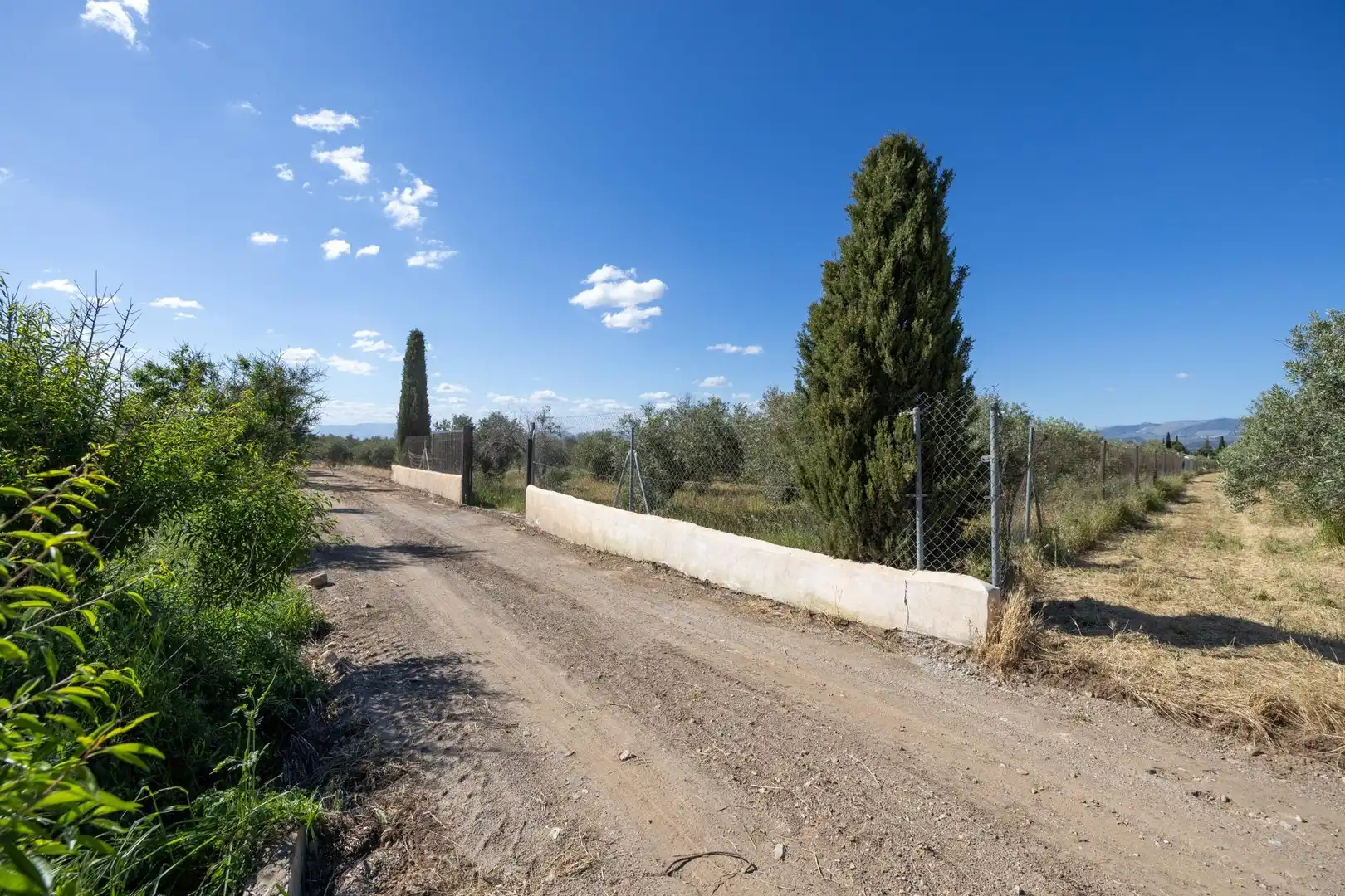 Rural land for sale in Polígono 3 Parcela 220 Arnique, imagen 3