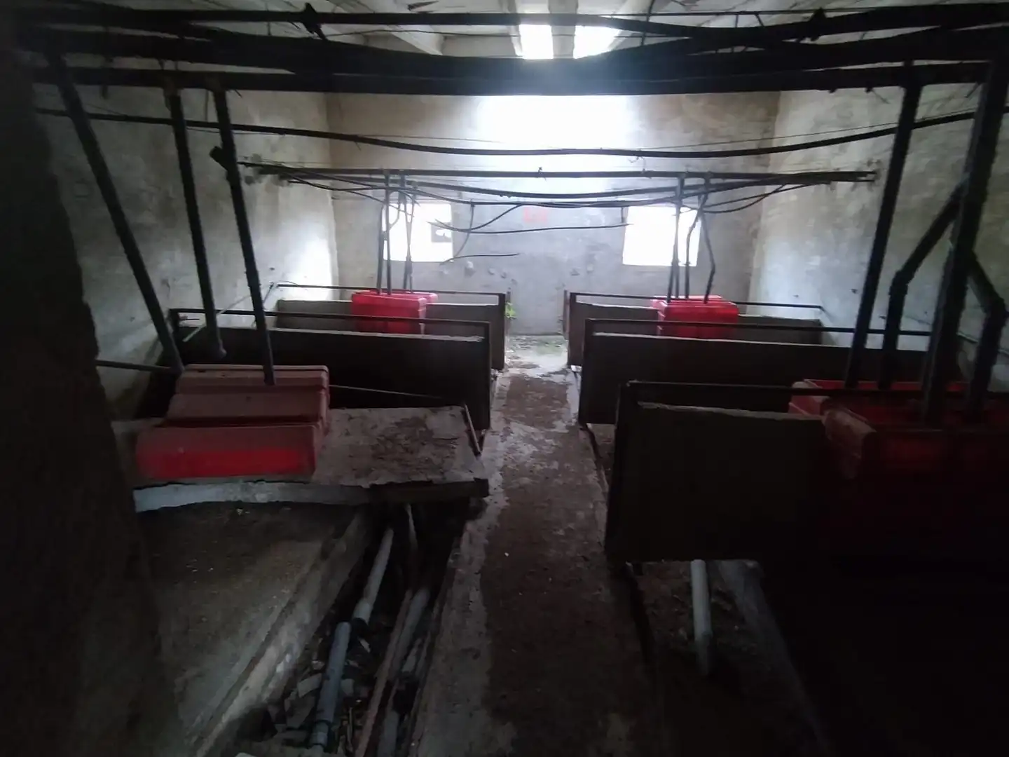Nave industrielle à vendre à Fuentepelayo, imagen 5