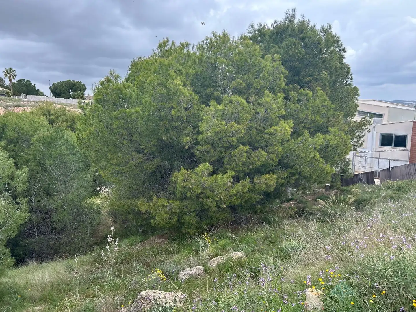 Grundstücke und Bauplätze zum Verkauf in Las Torres de Cotillas, imagen 8