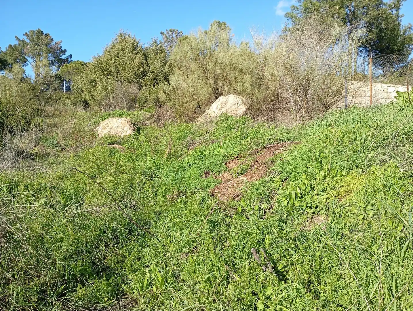Terreni e lotti in vendita a Robledo de Chavela, imagen 16