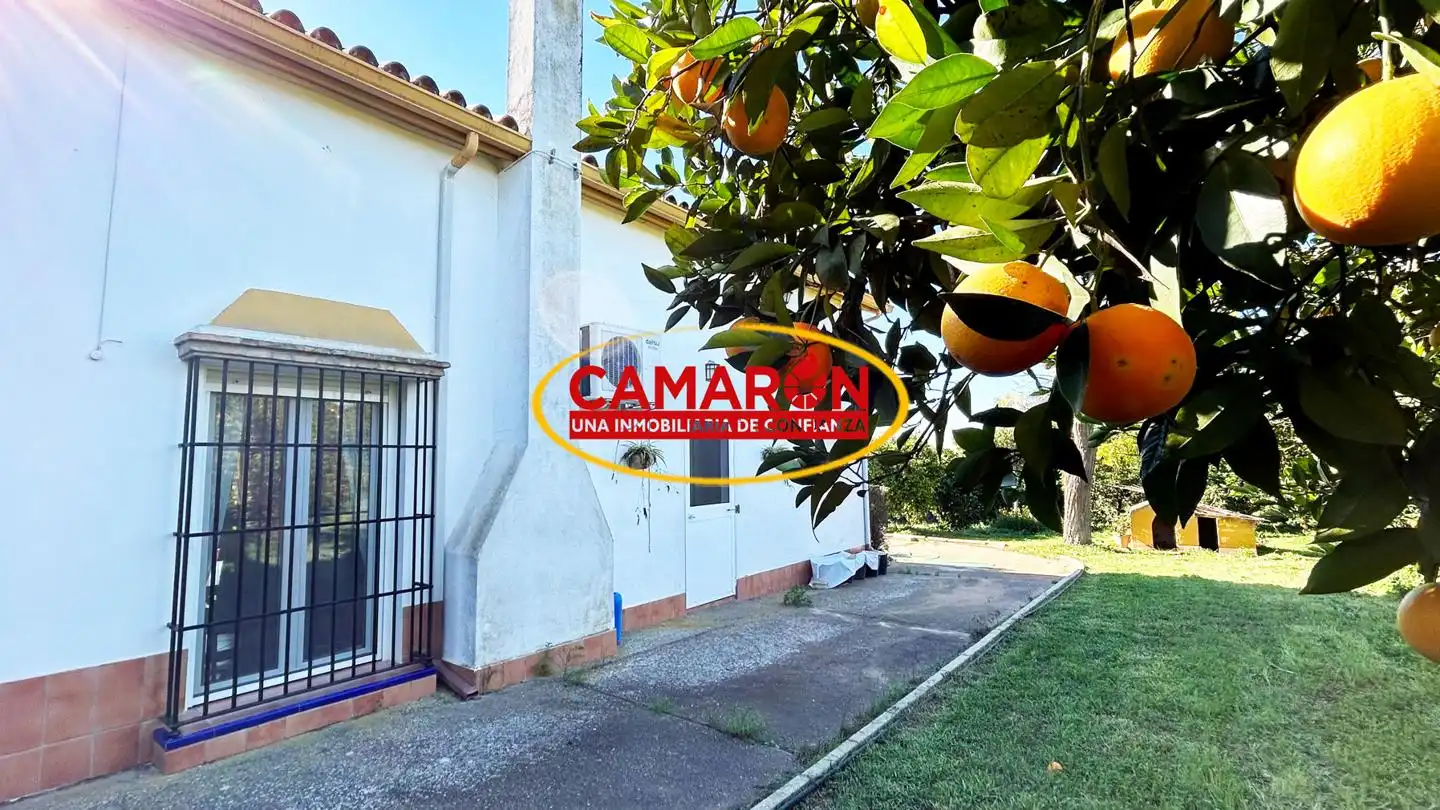 Vista exterior de Finca rústica en venda en Coria del Río amb Jardí privat i Piscina