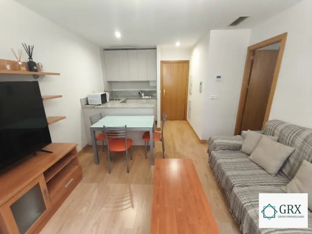 Living room of Flat for rent in Granada  with Air Conditioner, Heating and Storage room
