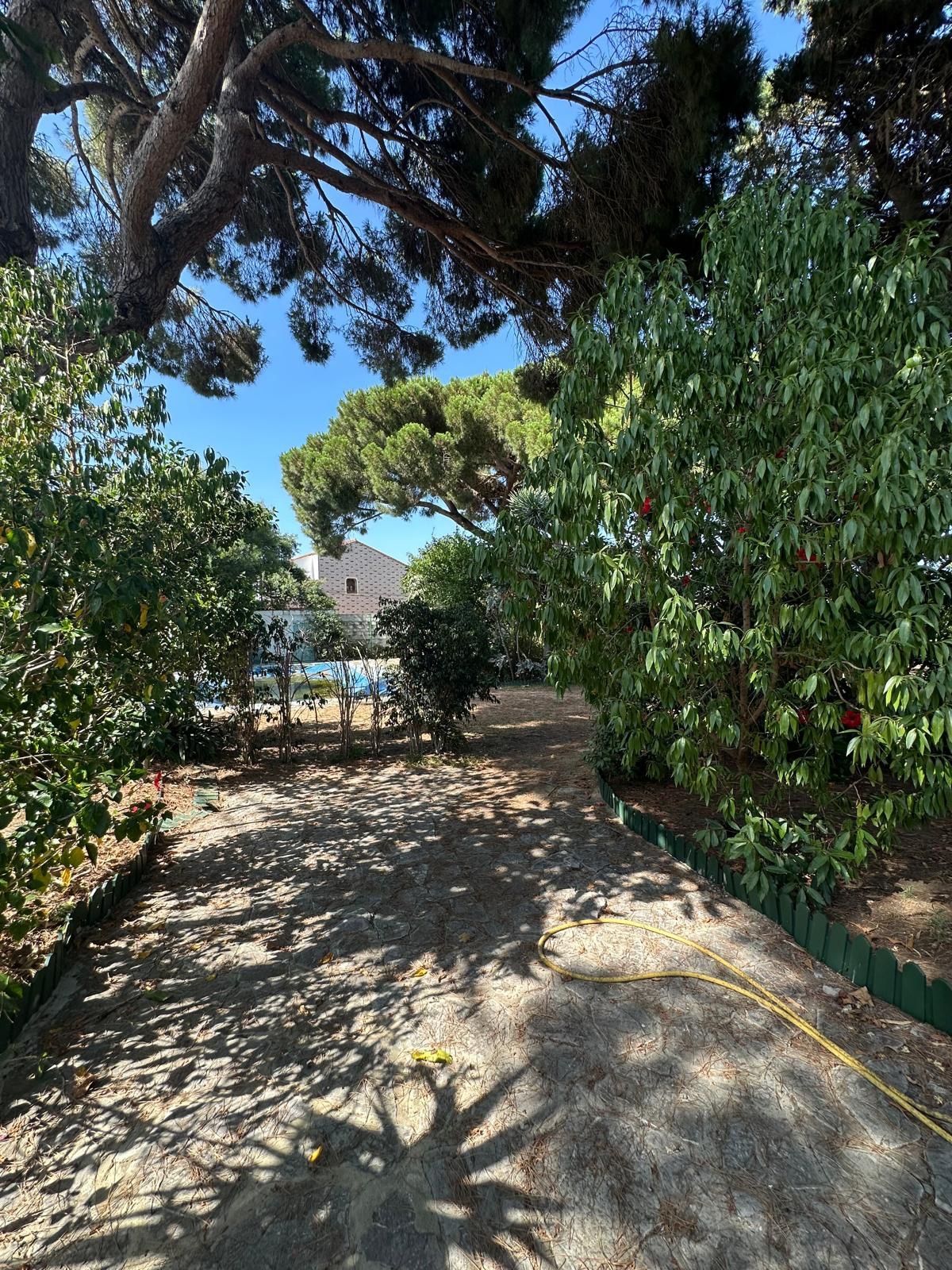 Garden of House or chalet for sale in Algeciras