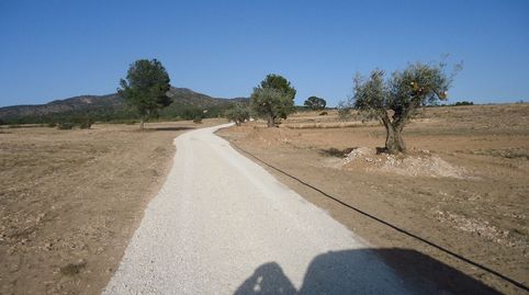 Finca de 408.000 m en Carretera YeclaPinoso con posibilidad de construir 20 chalets, immagine 3