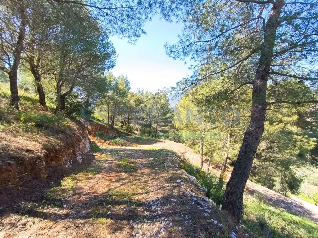 Terreno rustico in vendita a Diseminados Diseminados, imagen 11