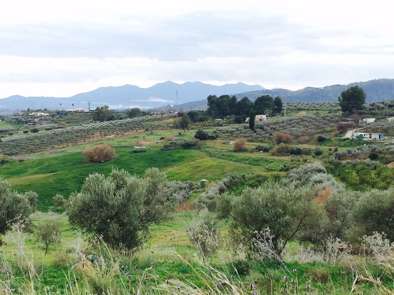 Country house zum Verkauf in Pizarra