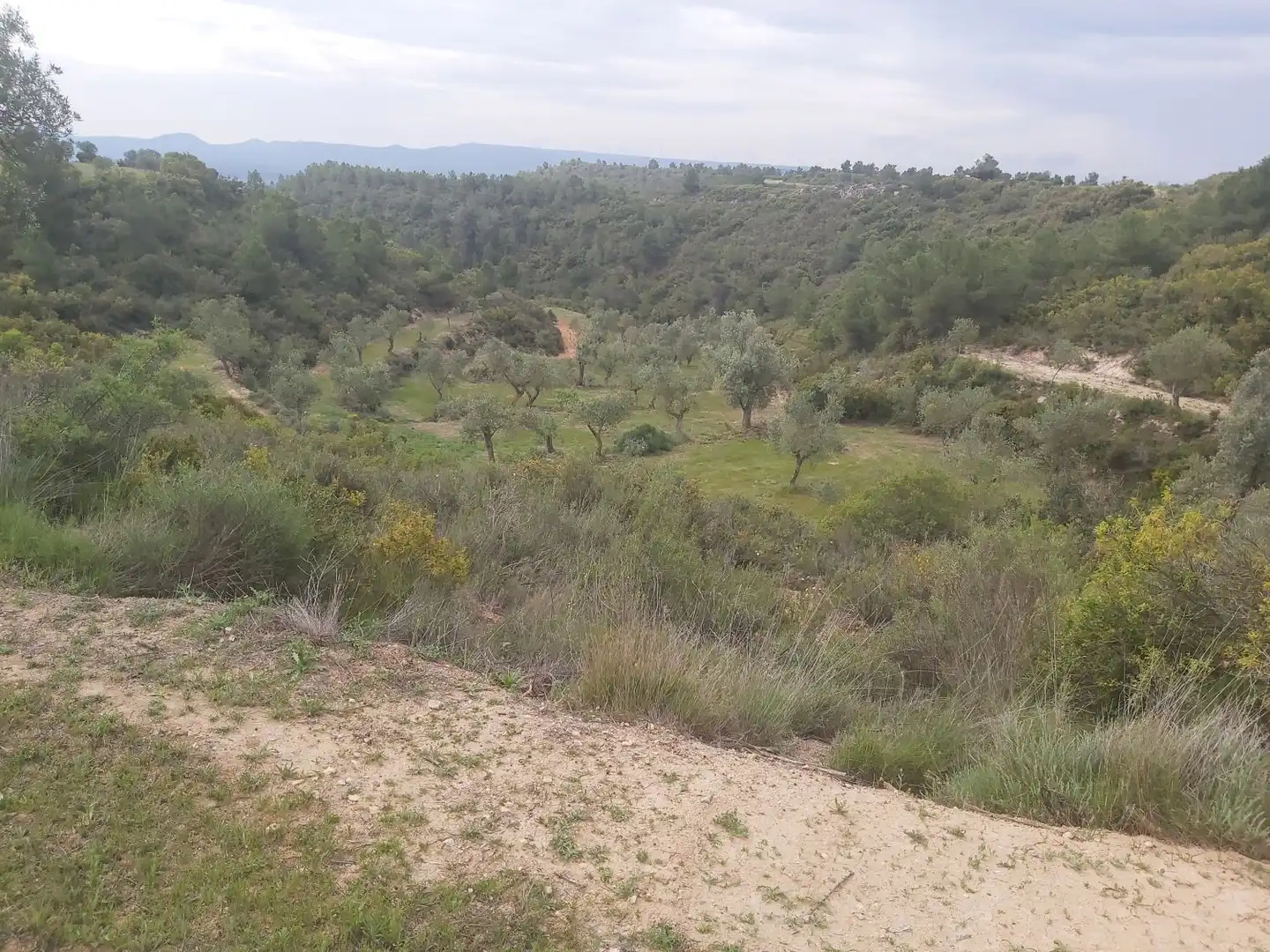 Country homes for sale in Seròs