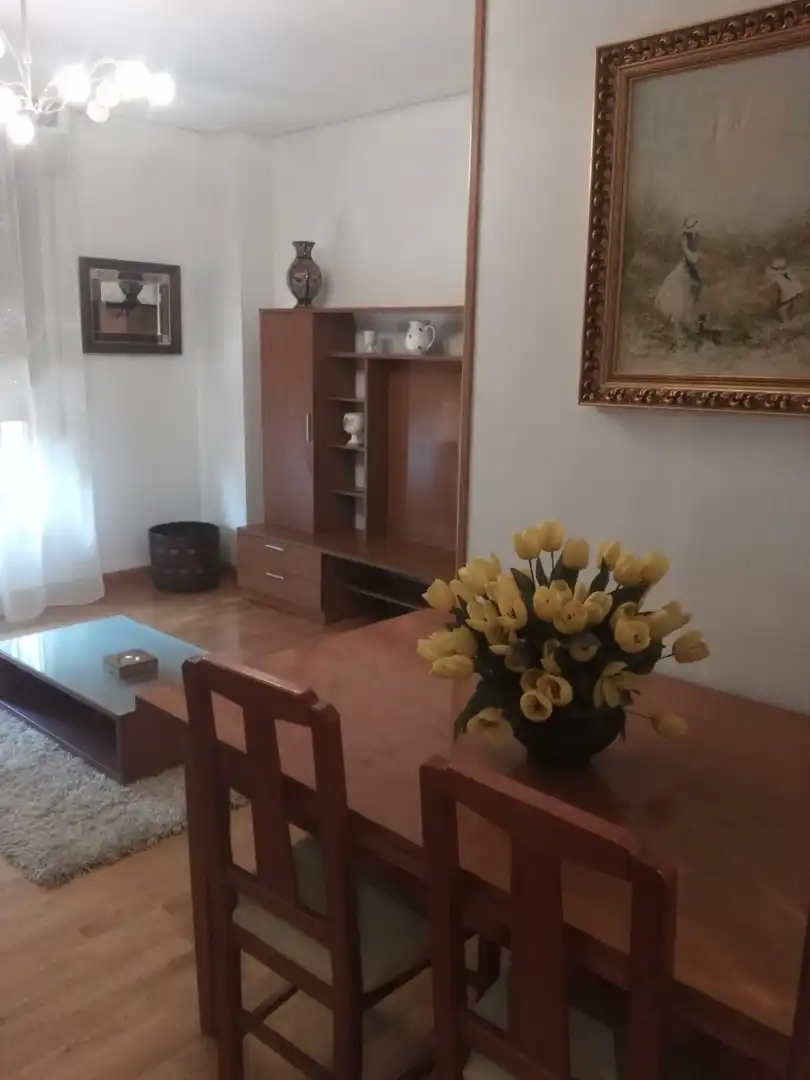 Sala de estar de Apartamento de alquiler en  Logroño con Aire acondicionado, Calefacción y Terraza