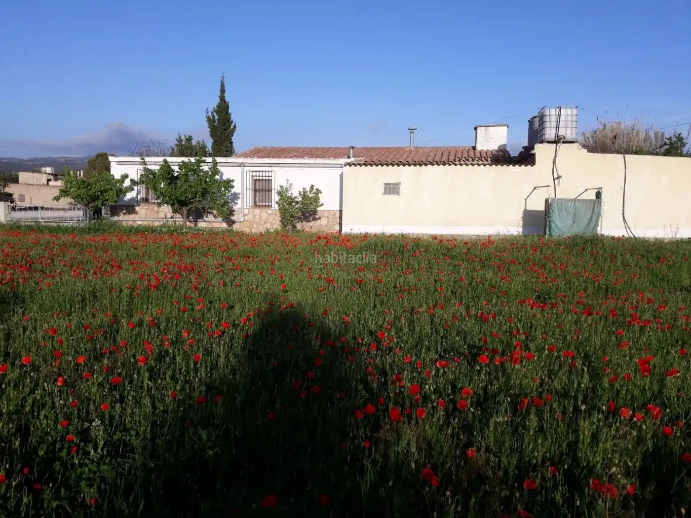 Rustikales Grundstück zum Verkauf in Carrer Major 18, imagen 5