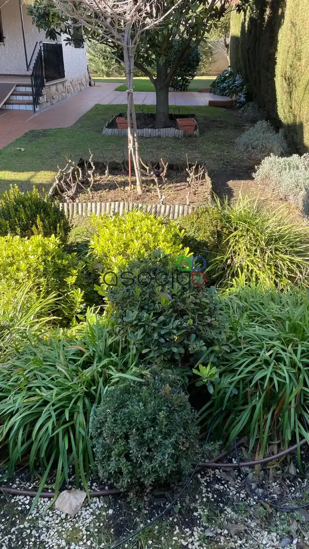 Xalet amb jardí en venda a CÁNDIDO LASO ESCUDERO, imagen 39