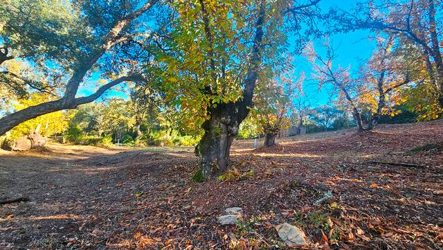 Terreno en Venta en Fuenteheridos