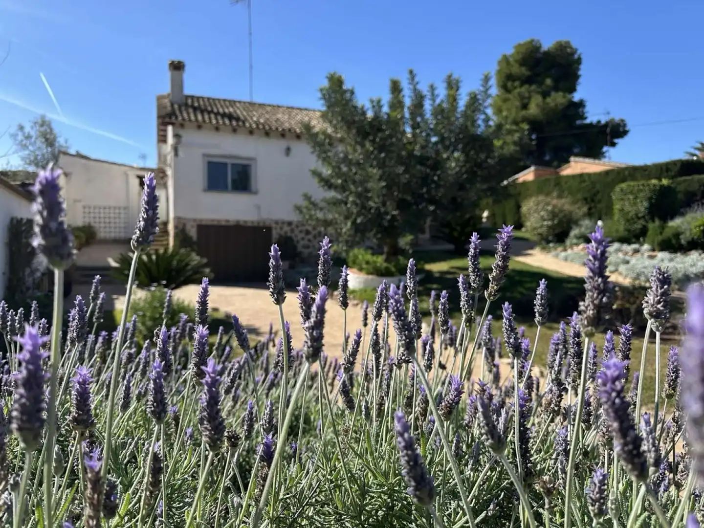 Jardín de Apartamento para compartir en L'Eliana con Aire acondicionado, Terraza y Amueblado