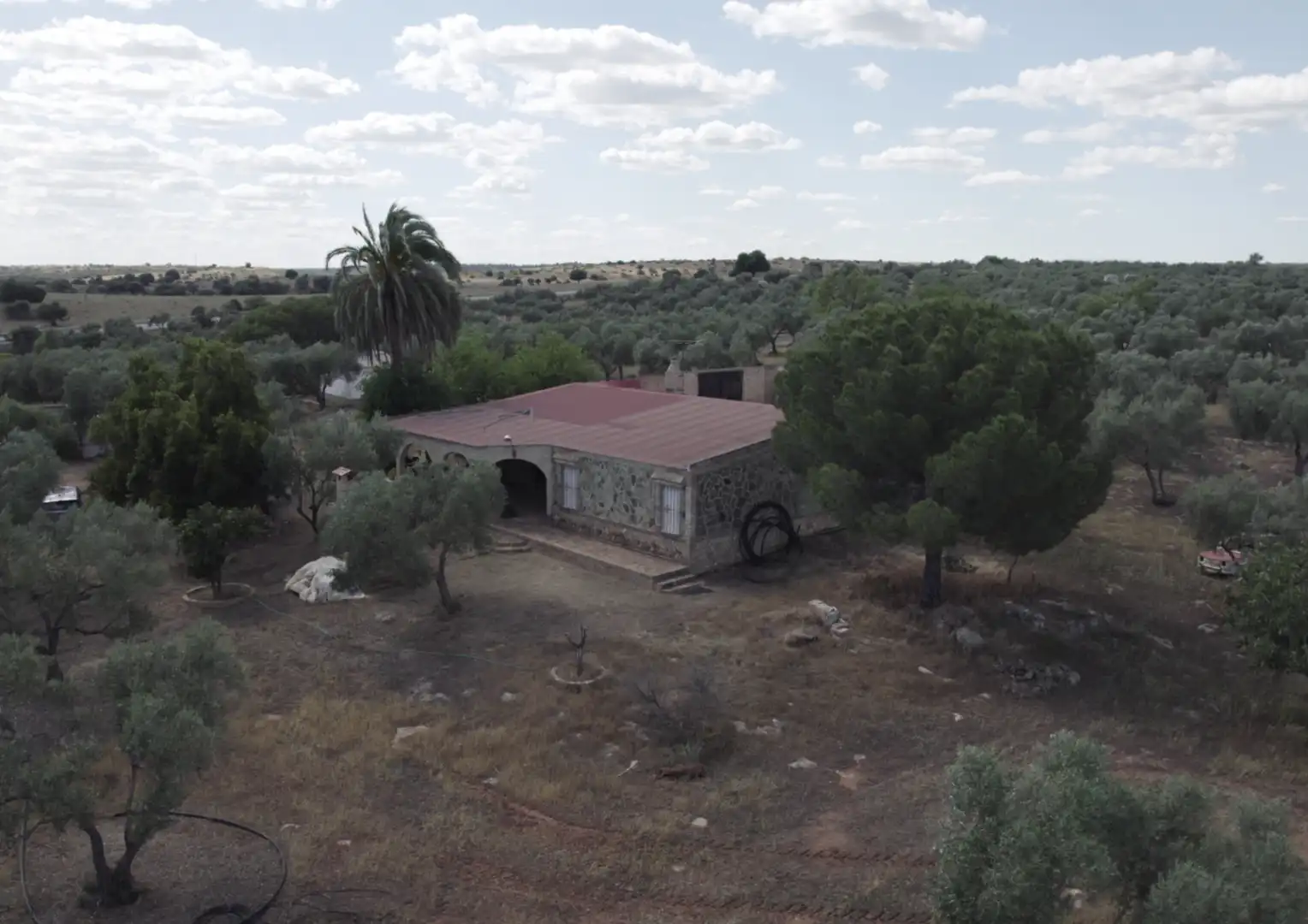 Finca rústica en venta en La Palma del Condado con Jardín privado, Terraza y Trastero
