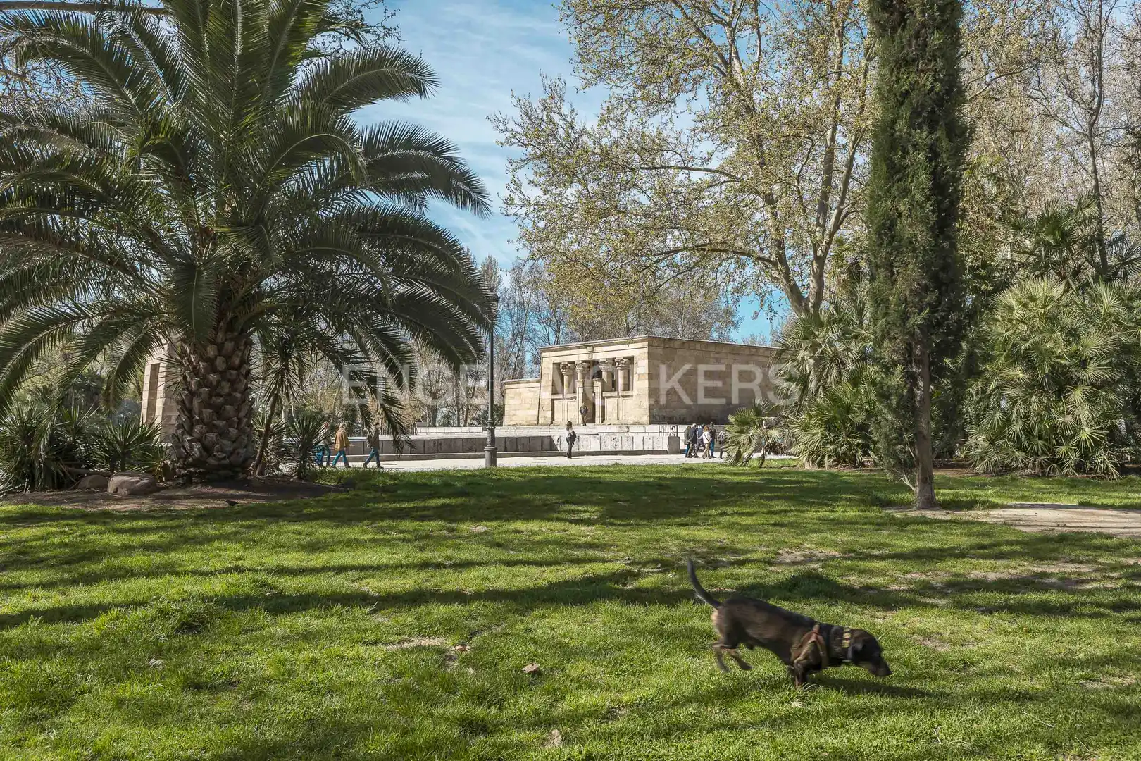 Garden of Flat for rent in Madrid  with Air Conditioner, Heating and Private garden
