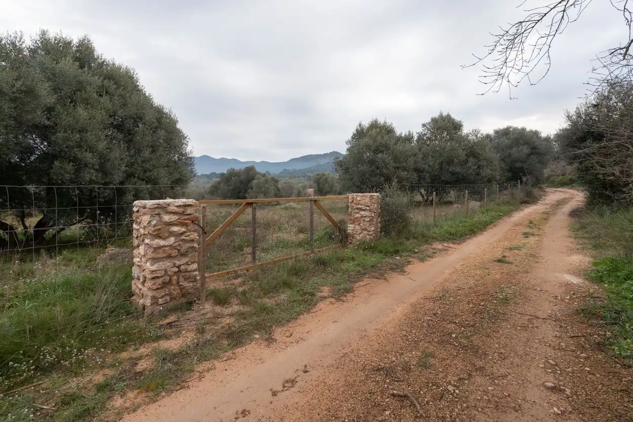 Terreny rústic en venda a Ulldecona, imagen 18