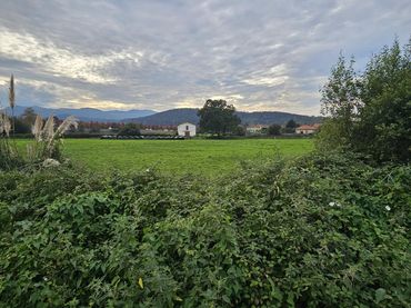 Rural land for sale in Covadonga - Campuzano - Ciudad Vergel