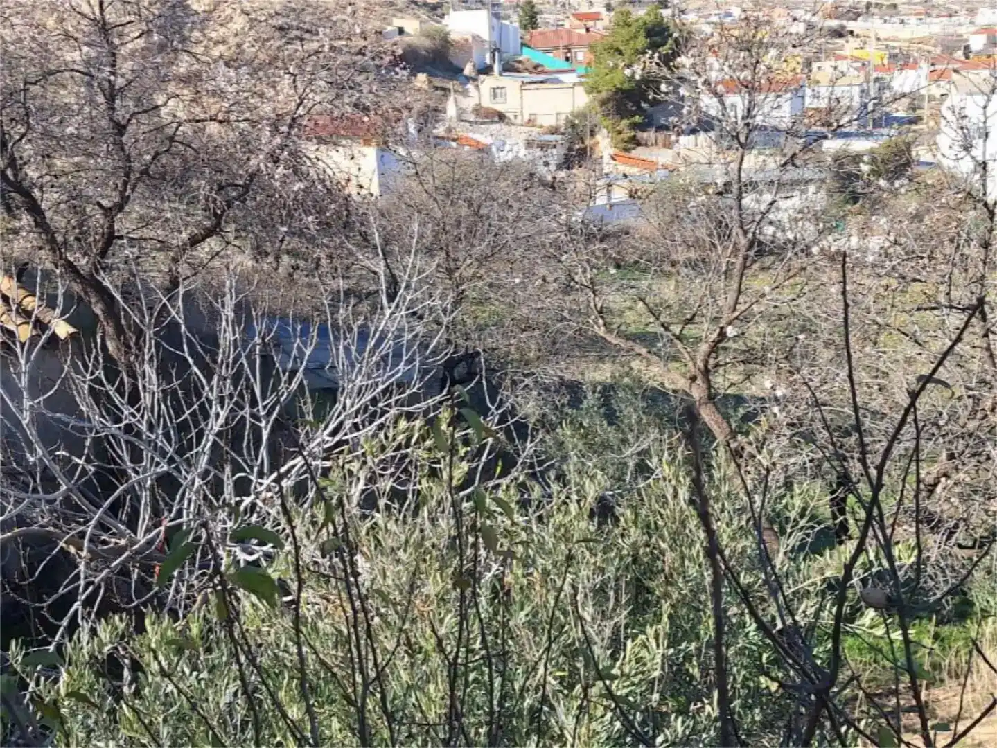 Casa o xalet en venda en Baza amb Jardí privat