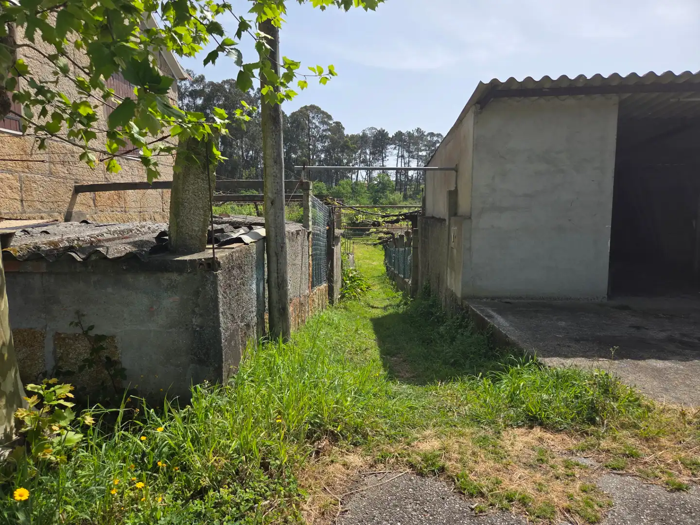 Jardí de Casa o xalet en venda en Sanxenxo amb Jardí privat i Terrassa