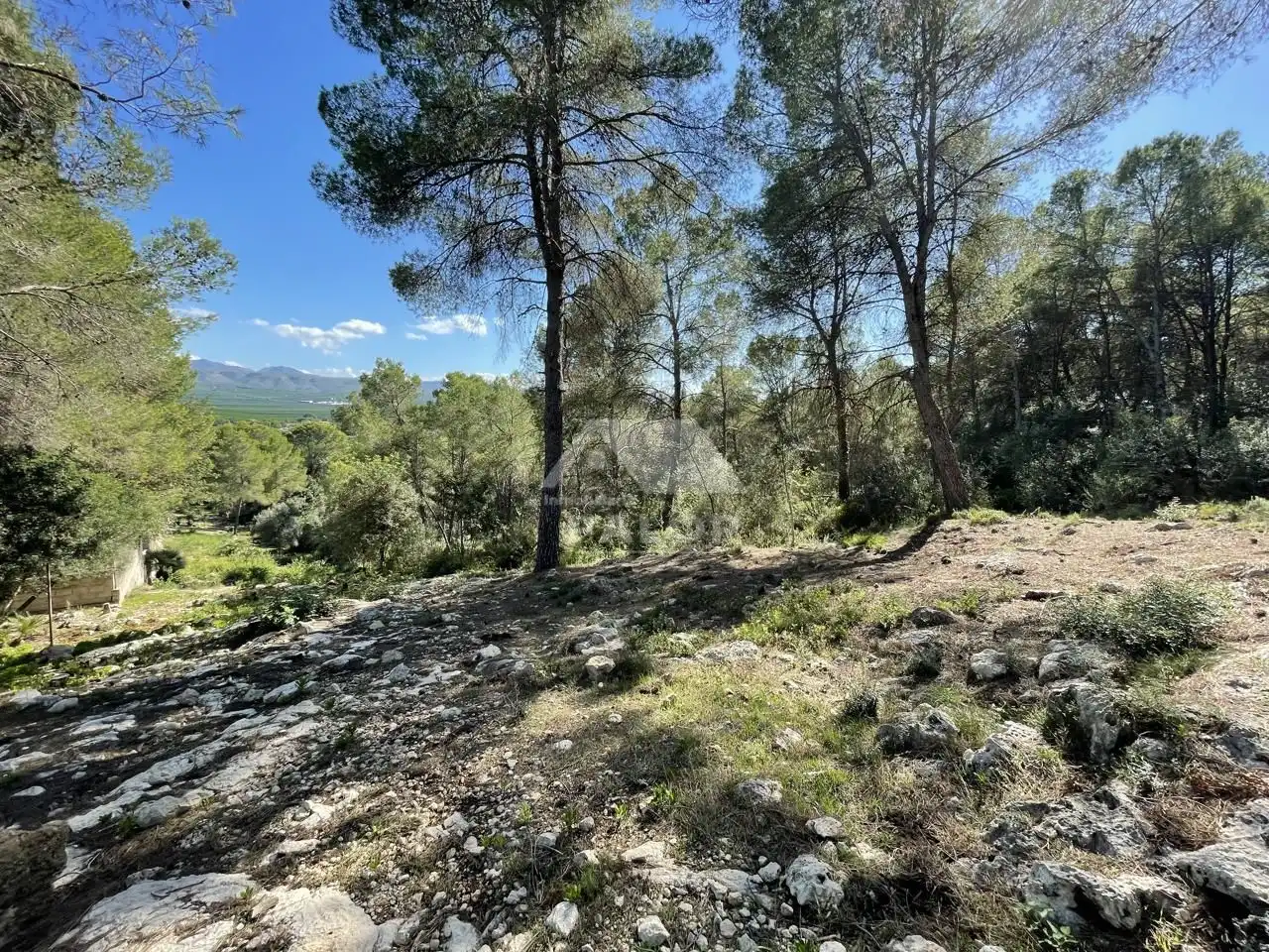Terrenys i solars en venda a Carcaixent, imagen 5