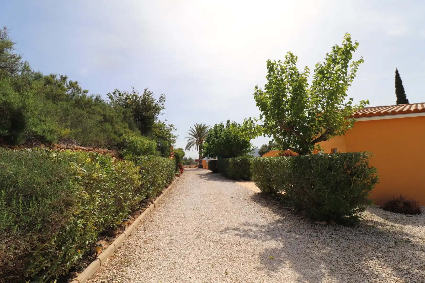 Casa rústica con jardín en venta en Hondón de las Nieves / El Fondó de les Neus, imagen 19